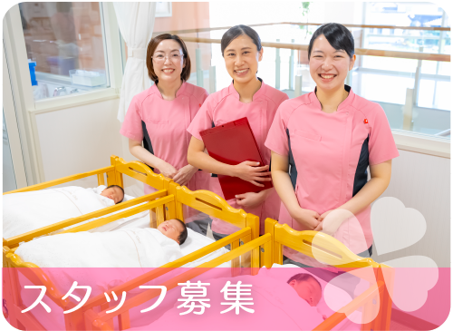 スタッフ 求人募集